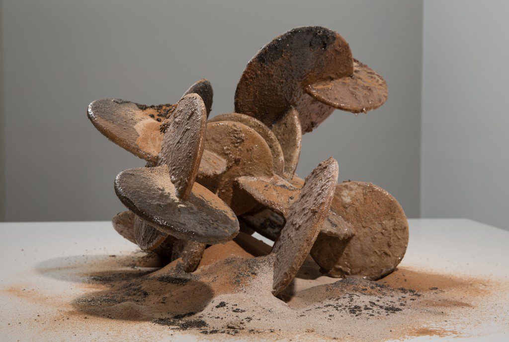 "Desert Rose" © Sarah Al Agroobi