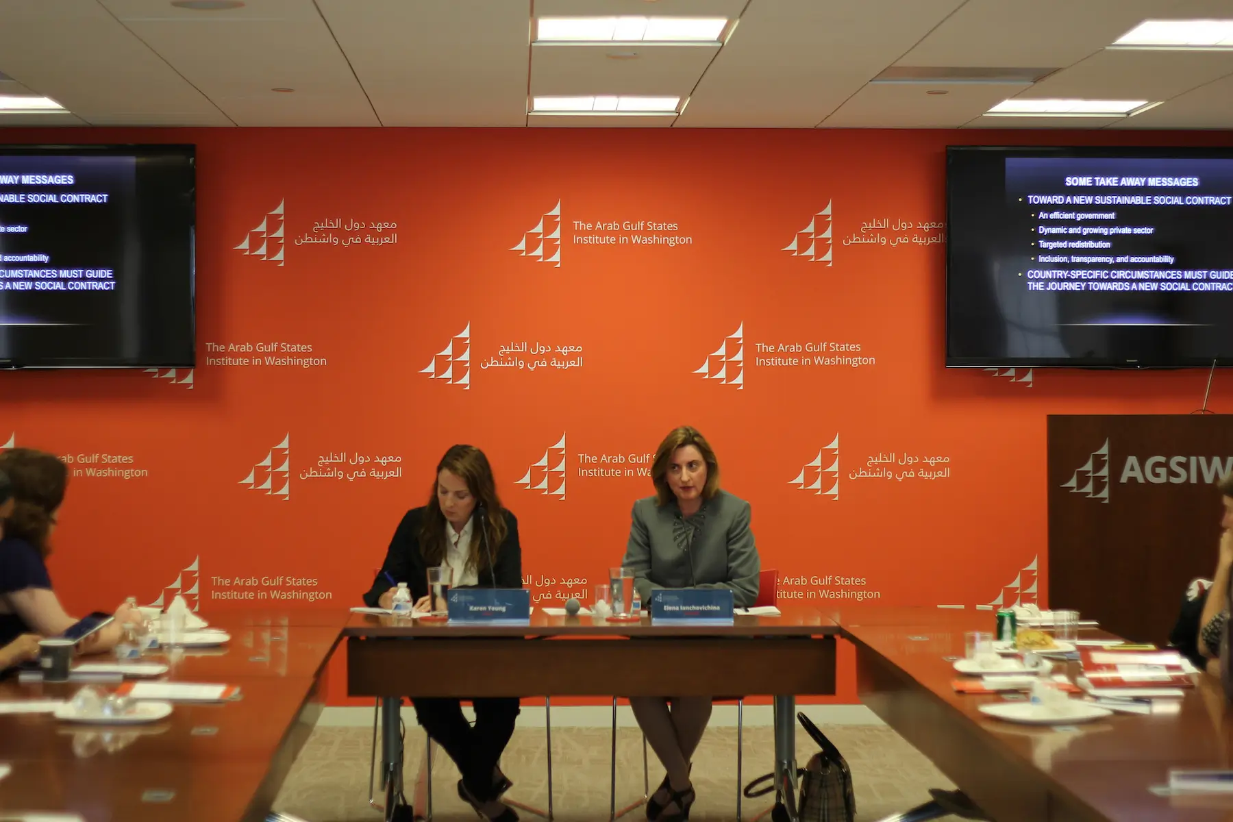 Karen E. Young and Elena Ianchovichina