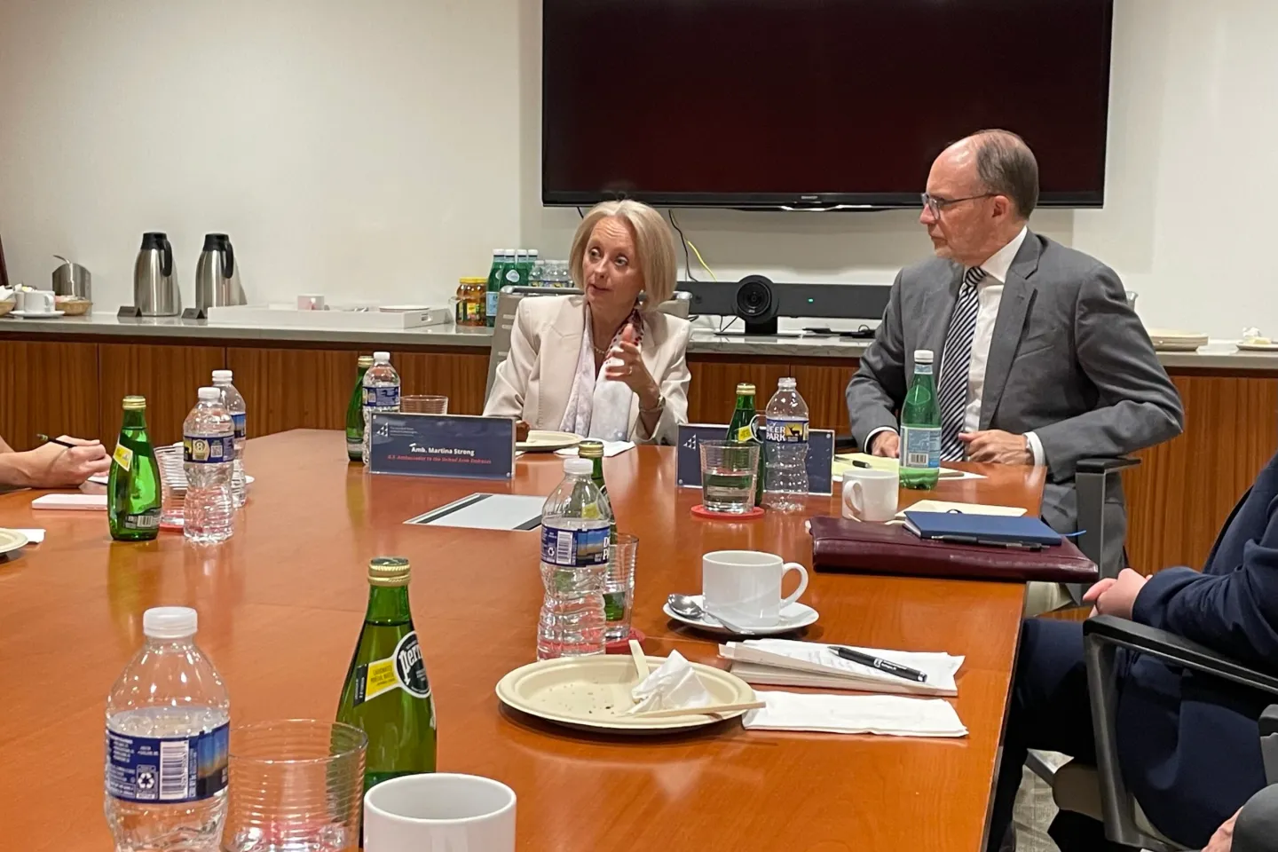 Roundtable With Ambassador Martina Strong
