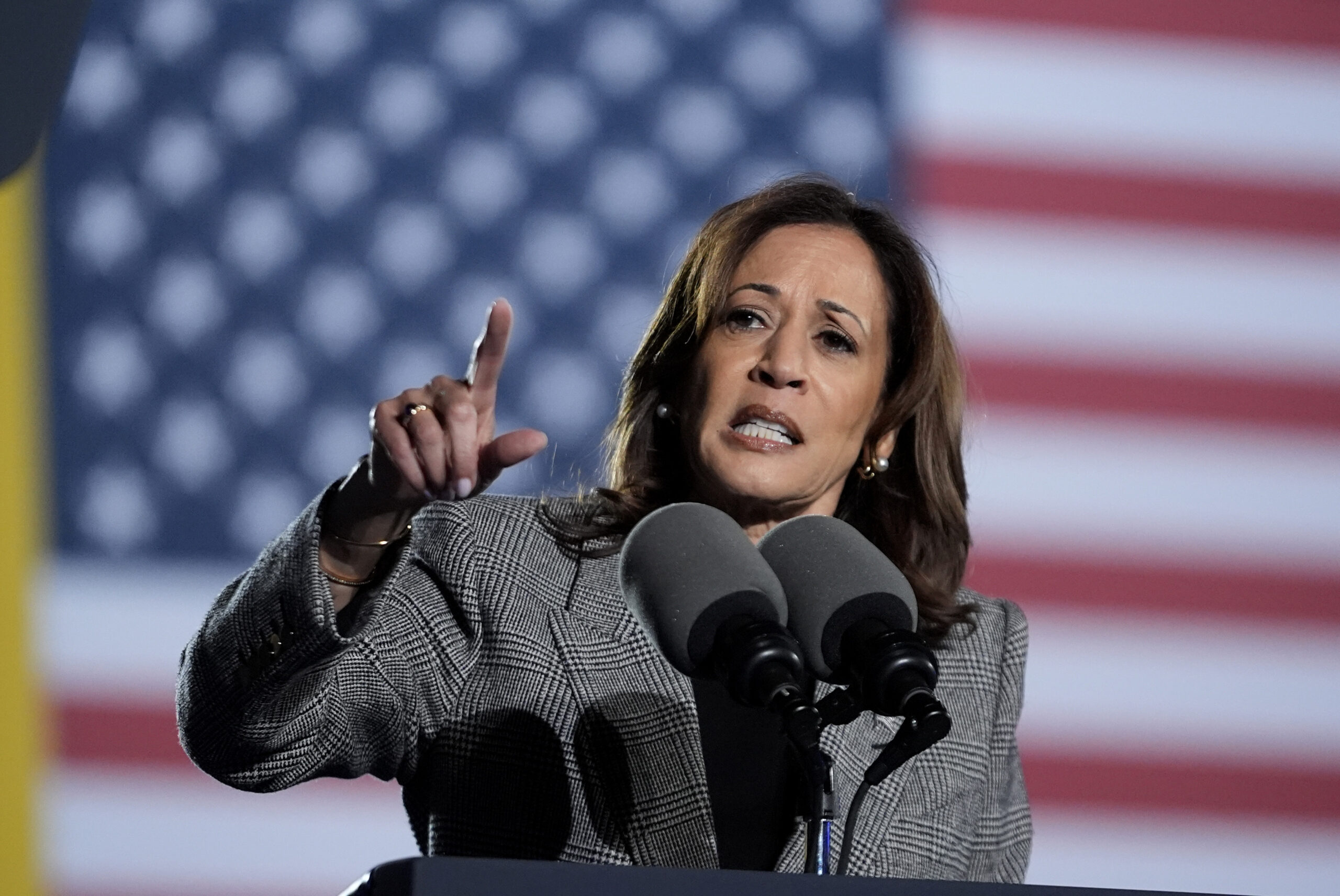 Democratic presidential candidate Vice President Kamala Harris speaks at a campaign event, October 28, in Ann Arbor, Michigan. (AP Photo/Paul Sancya)