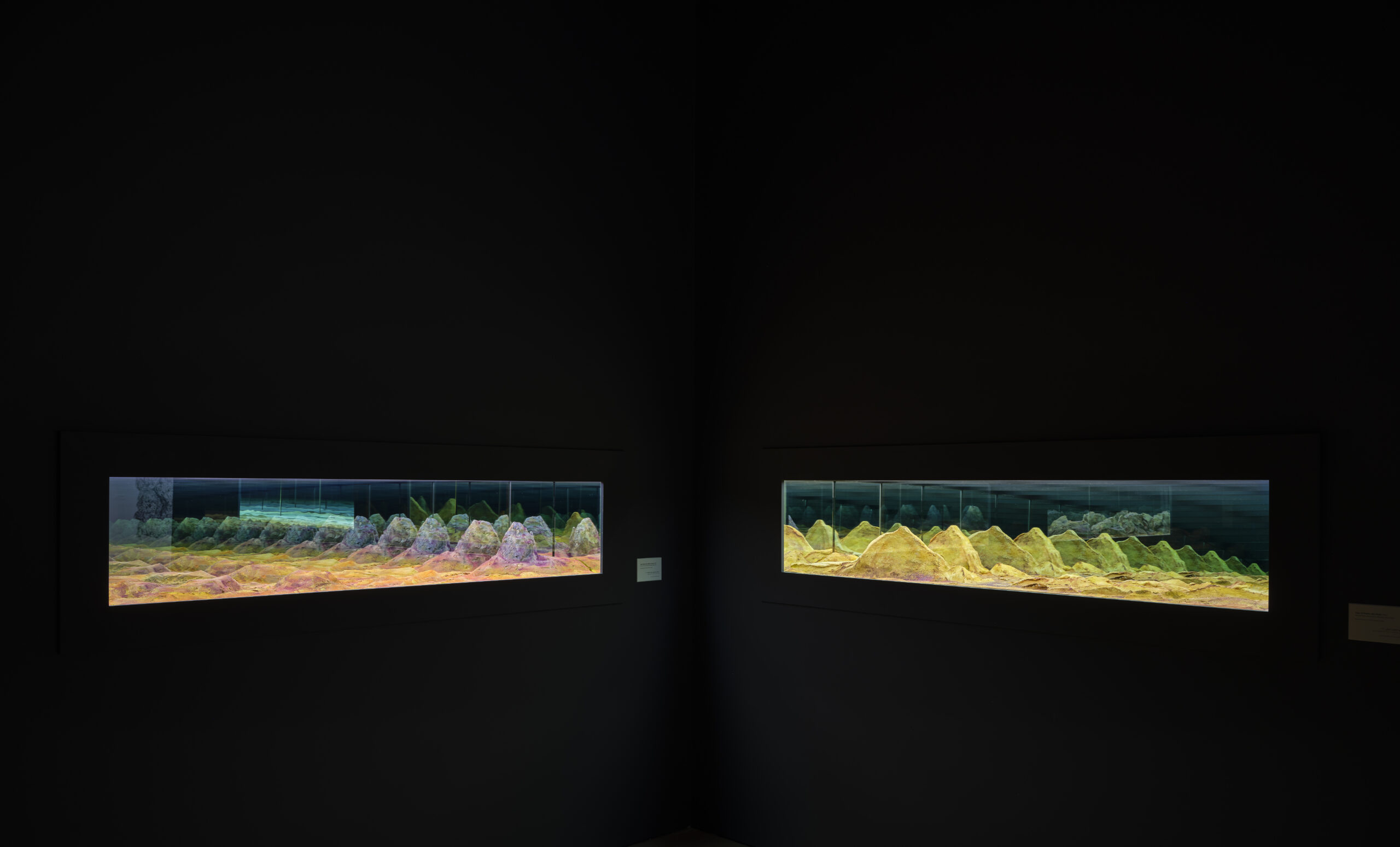 “Infinite Landscape” (series), 2023. Photo by John Varghese. (Courtesy of NYU Abu Dhabi Art Gallery)