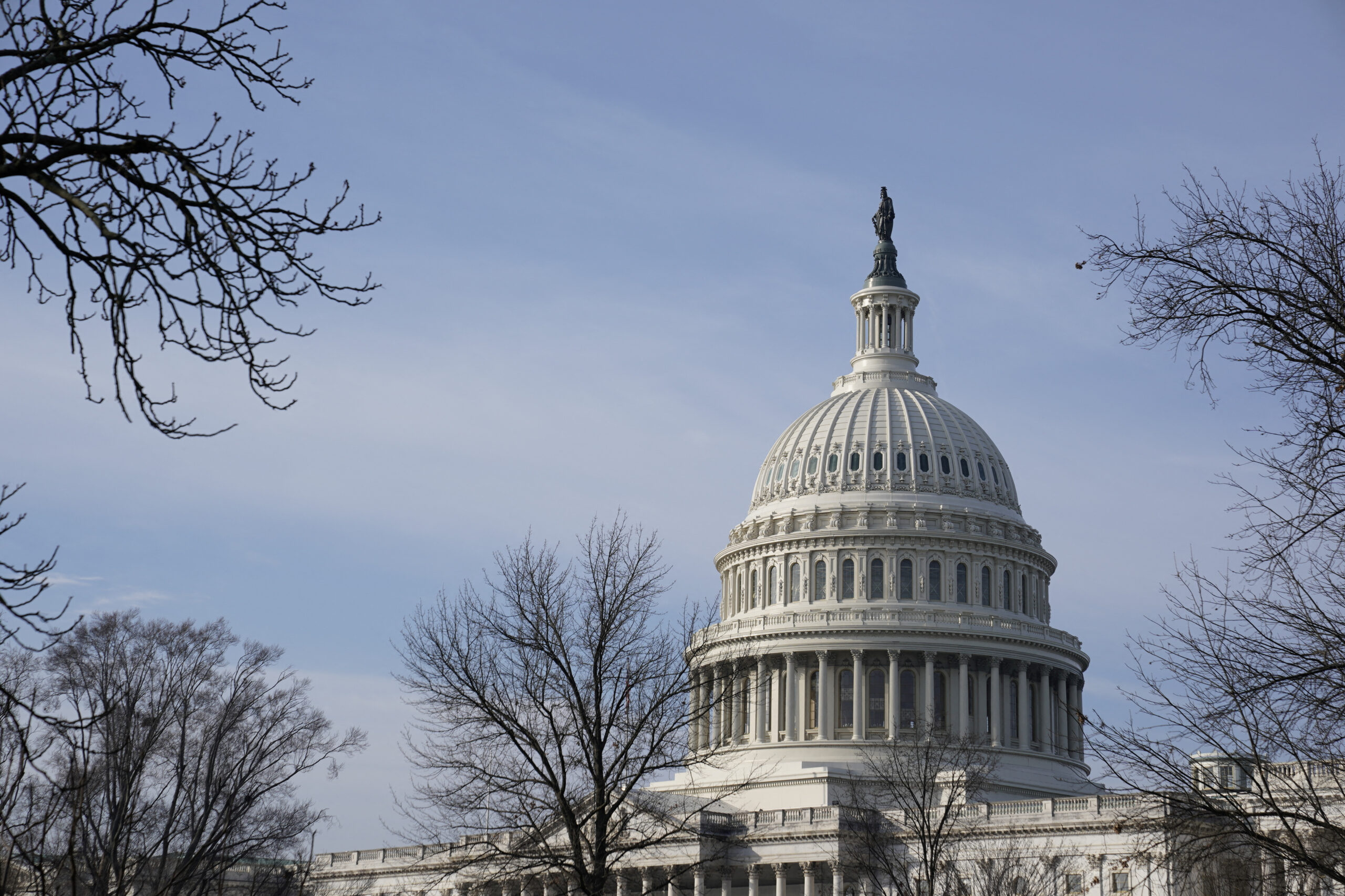 The U.S. Capitol building in Washington, U.S., February 7. (REUTERS/Elizabeth Frantz)