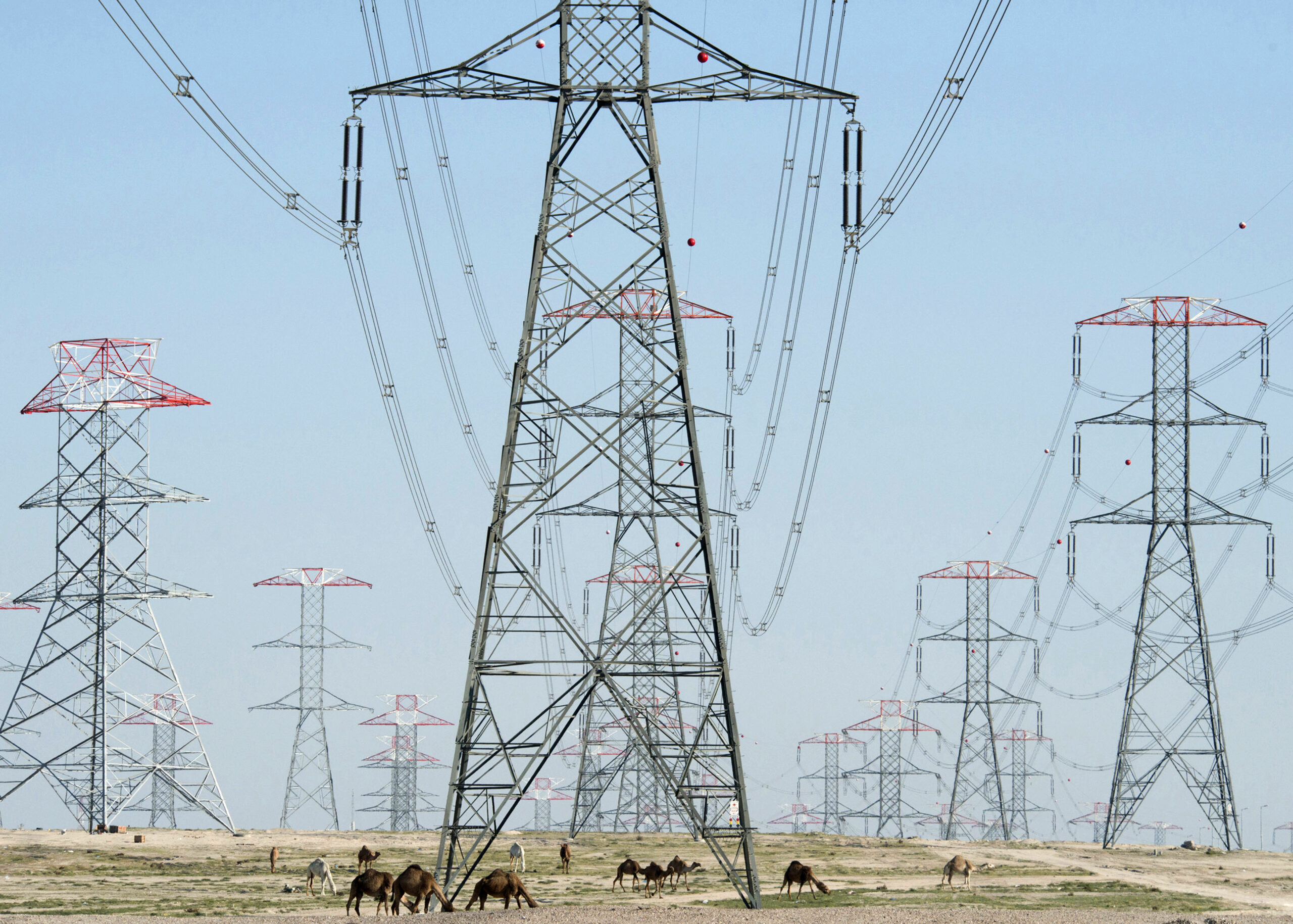 Camels graze around power grid towers in the Kuwaiti desert, February 14, 2014. (REUTERS/Stephanie McGehee)