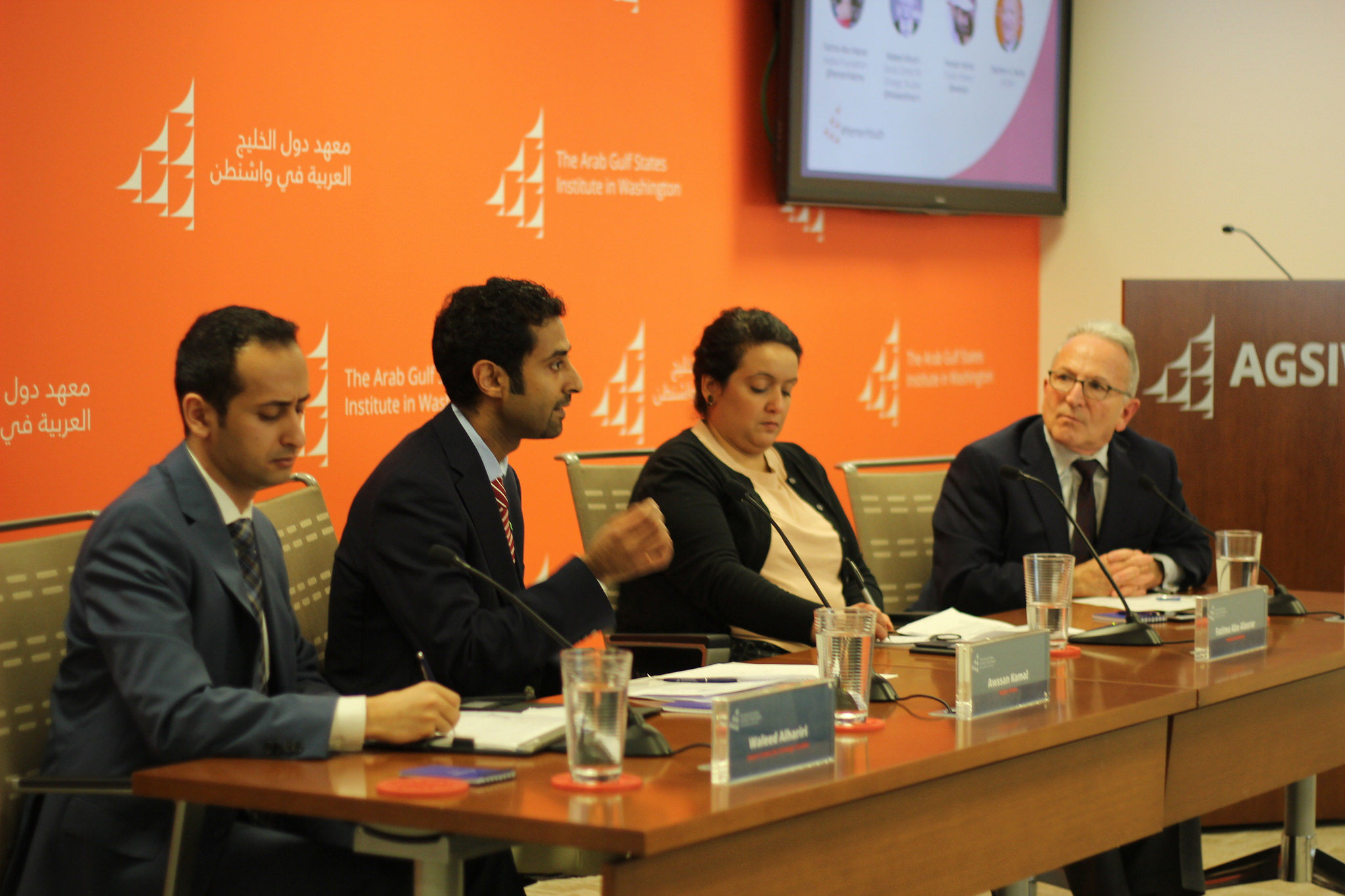 Yemen Youth Panel