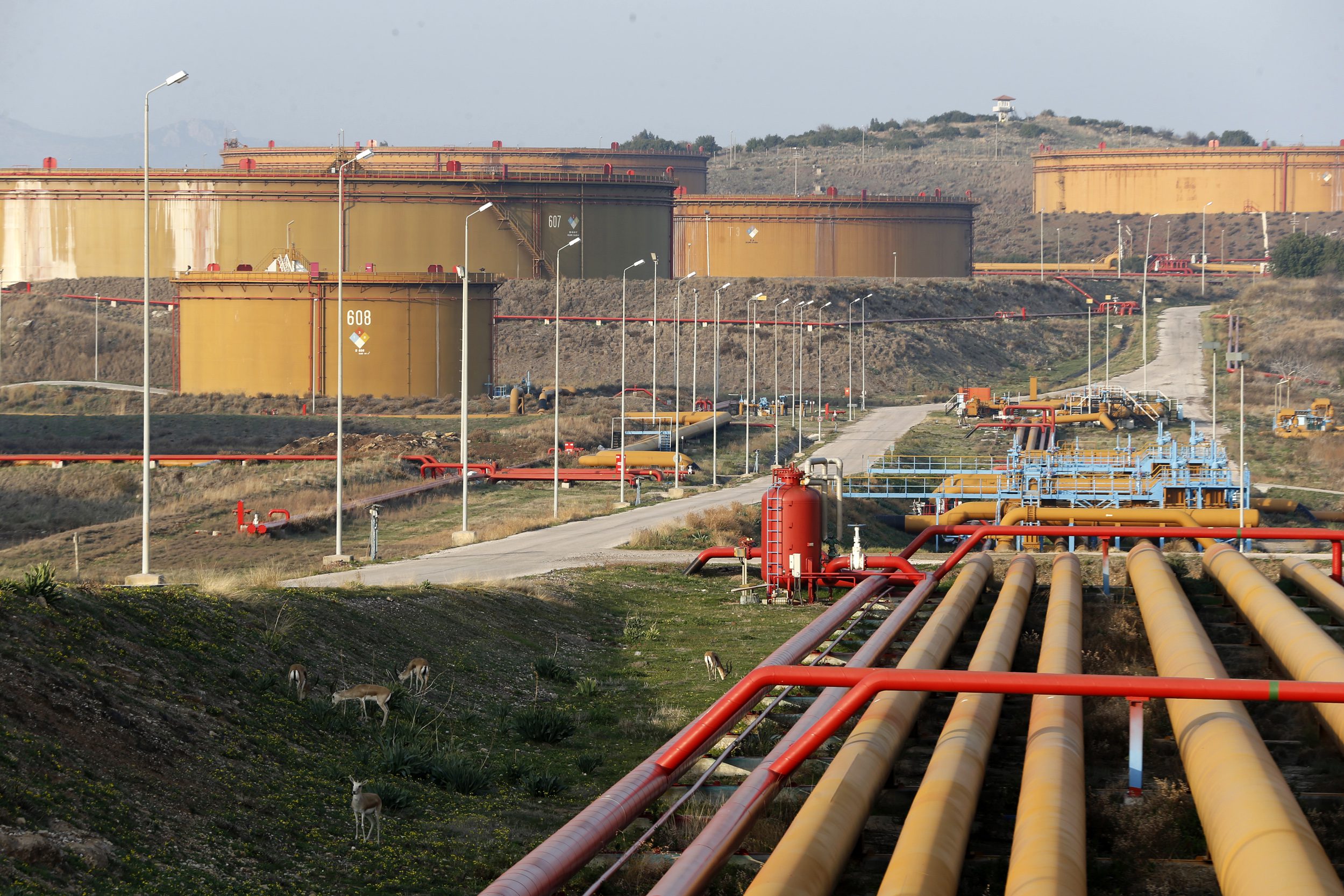 Oil tanks at Turkey's Mediterranean port of Ceyhan, part of the Iraq-Turkey oil pipeline, February 19, 2014. (REUTERS/Umit Bektas)